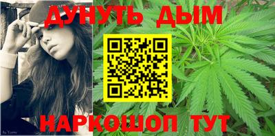 сатива Можайск